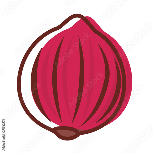 red onion fresh vegetables icon vector ilustrate