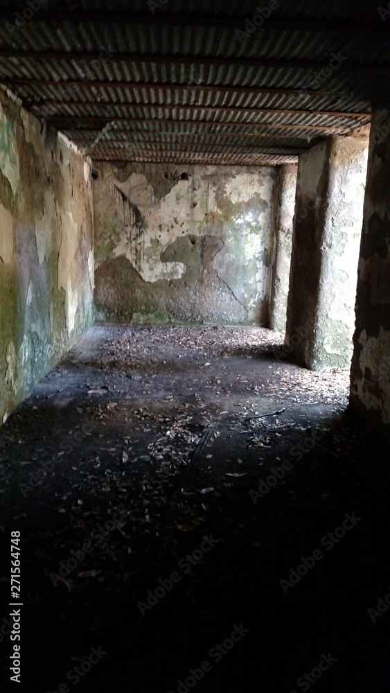 Obraz premium Freemont Shadows