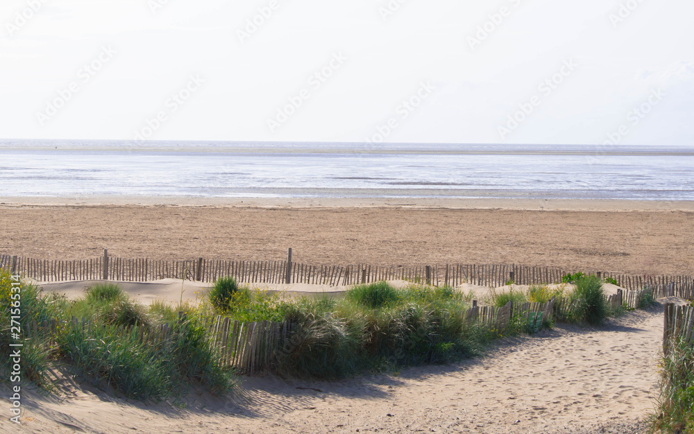 Fototapeta premium Path to the beach