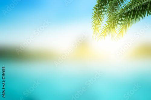 World Oceans Day concept: Palm leaves on Abstract blurred beach with sunset sky background