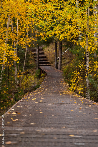 Vibrant yellow autumn walk path scene village at Kanas national park  China