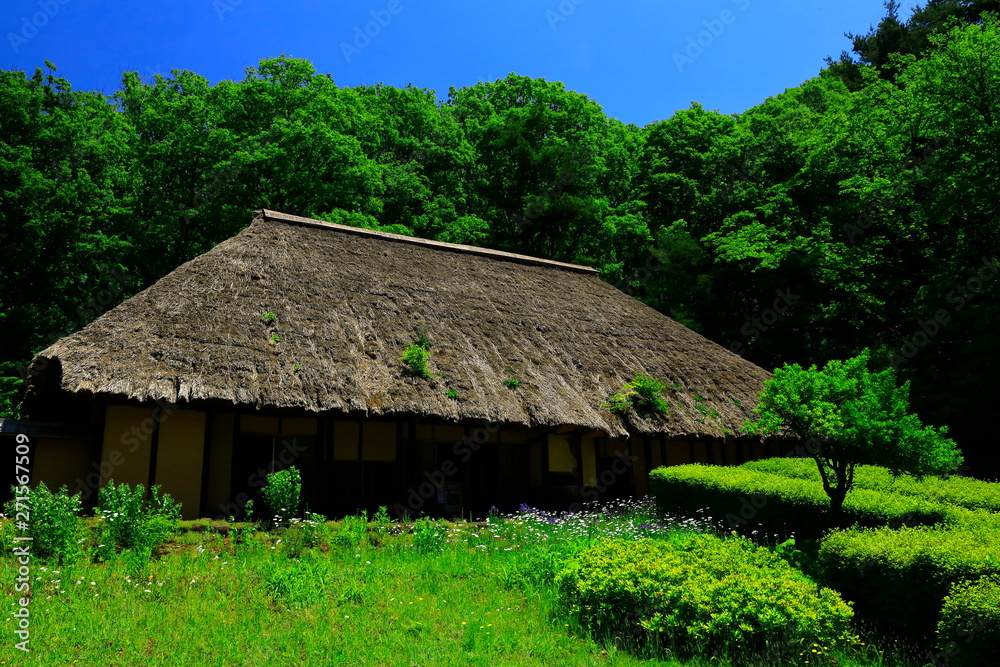 初夏のみちのく民俗村