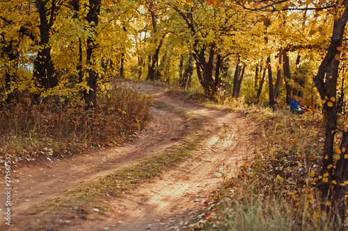 ground road in autumn forest © Антон Завирохин
