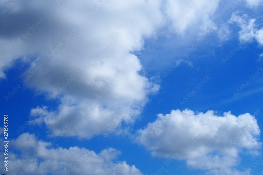 Fototapeta premium 青い空と白い大きな雲