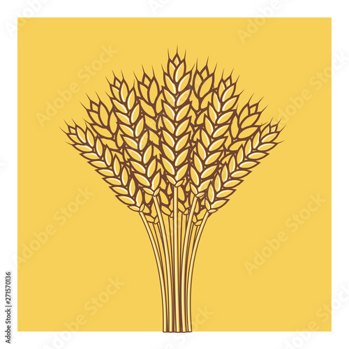 Wheat ears, Barley or Rye vector flat icon ,Shavuot consept