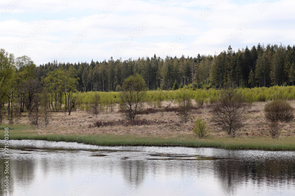 Lac dans les Hautes Fagnes en Ardenne belge Lac dans les Hautes Fagnes en Ardenne belge
