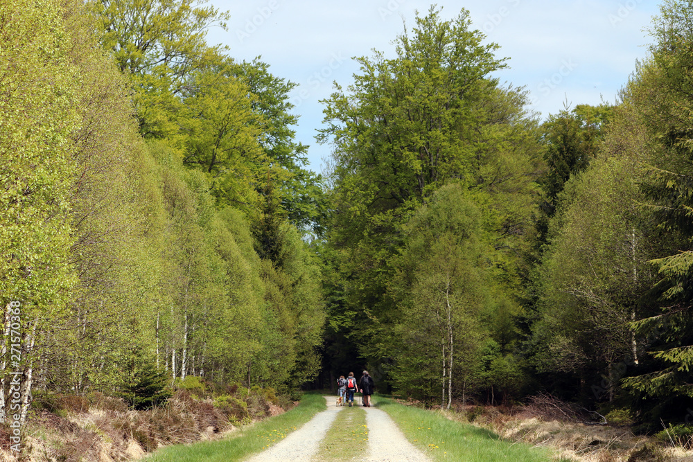 Des randonneurs dans les Hautes Fagnes de Belgique Des randonneurs dans les Hautes Fagnes de Belgique