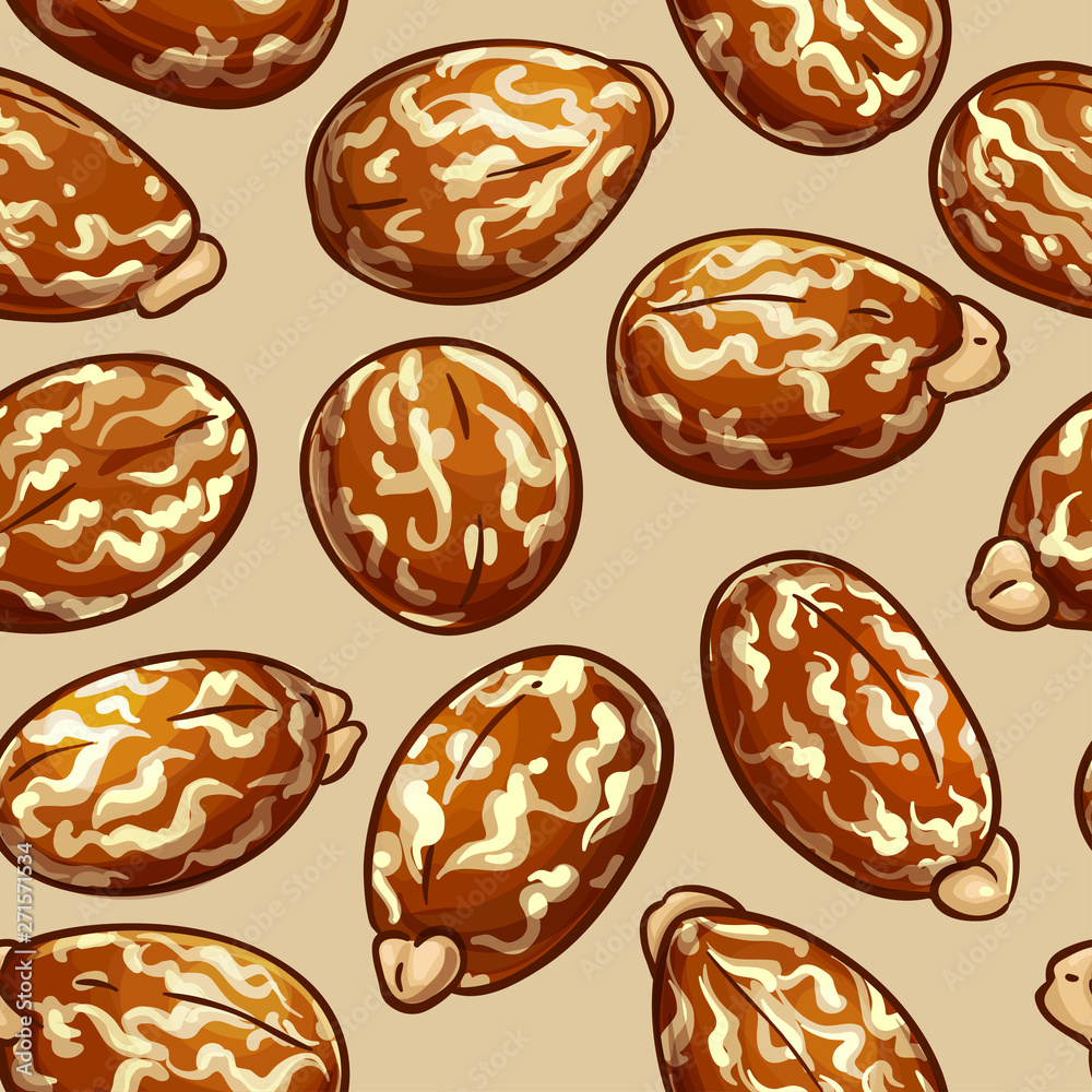castor vector pattern castor vector pattern