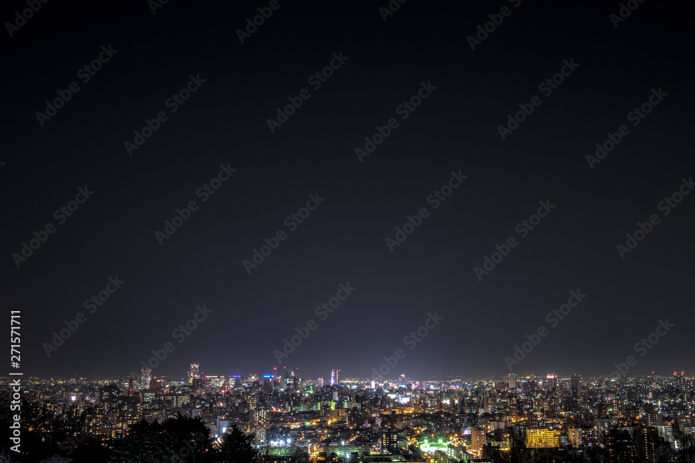 Fototapeta premium 旭山記念公園からの夜景（Night view from Asahiyama Memorial Park）