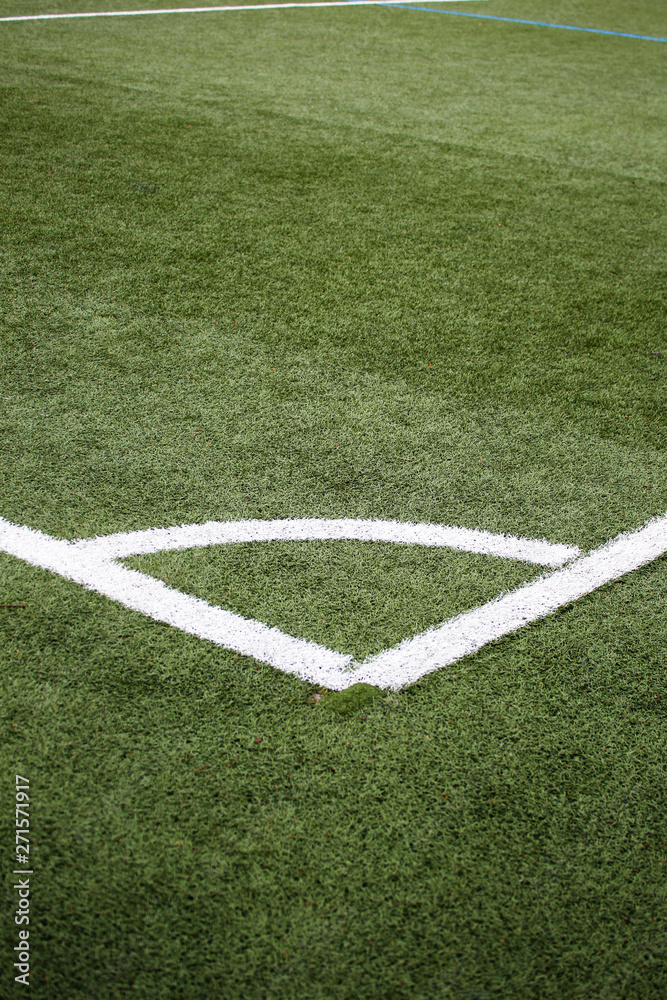 Fototapeta premium soccer field in stadium