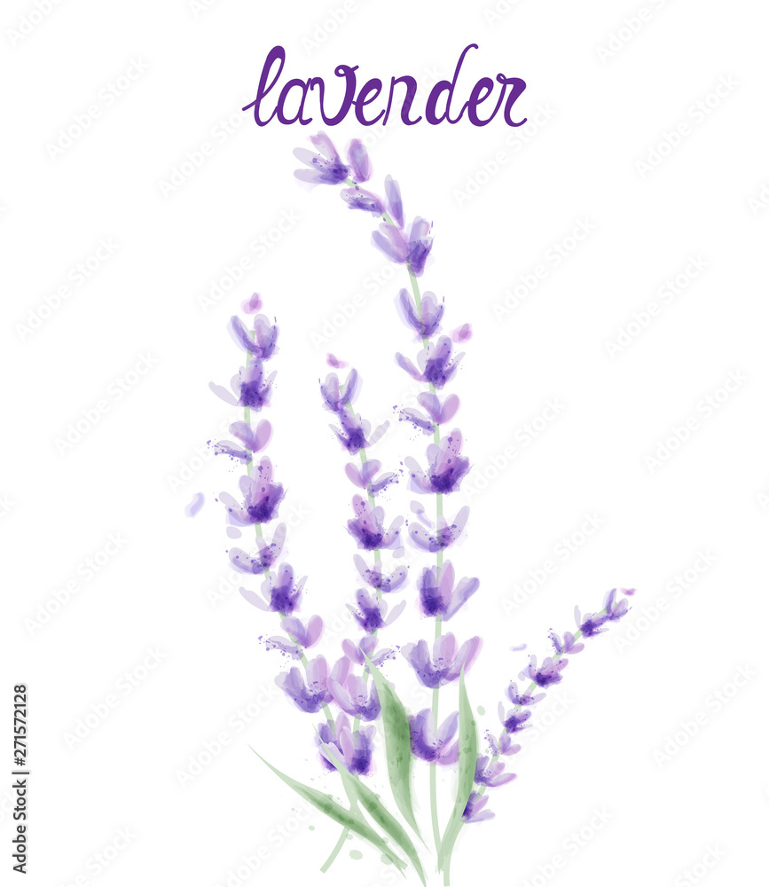 Lavender branch Vector watercolor. Round frame decor illustrations