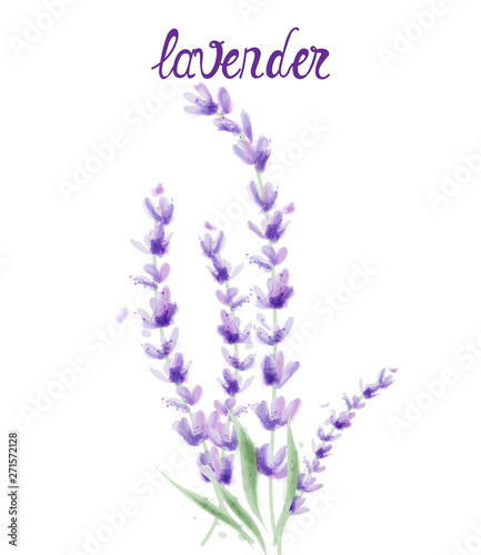 Lavender branch Vector watercolor. Round frame decor illustrations