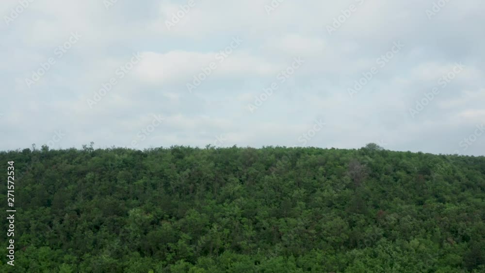 Going down aerial shot of a dense green forest Going down aerial shot of a dense green forest