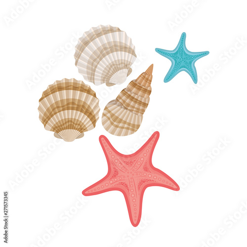 cute seashells on the sea in white background