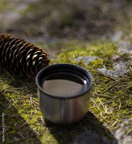 cup and pinecone- picnic on mossy rock