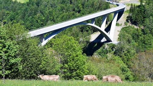 pont...la tamina photo