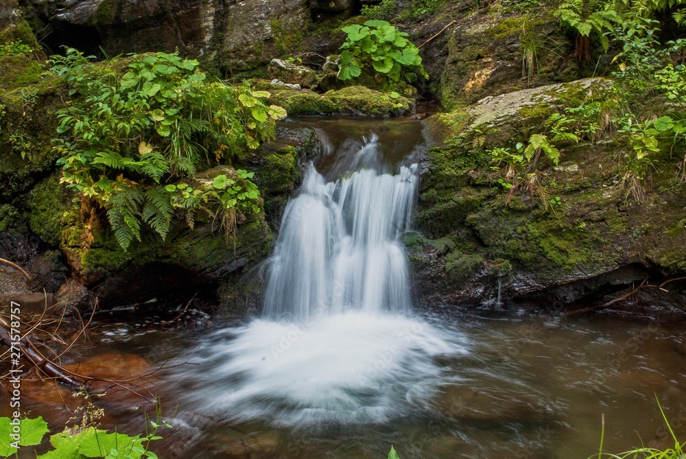 Fototapeta premium Small waterfall coming through large rocks surrounded by lush green plants on the Bila Opava river in Jeseniky mountains in the Czech Republic
