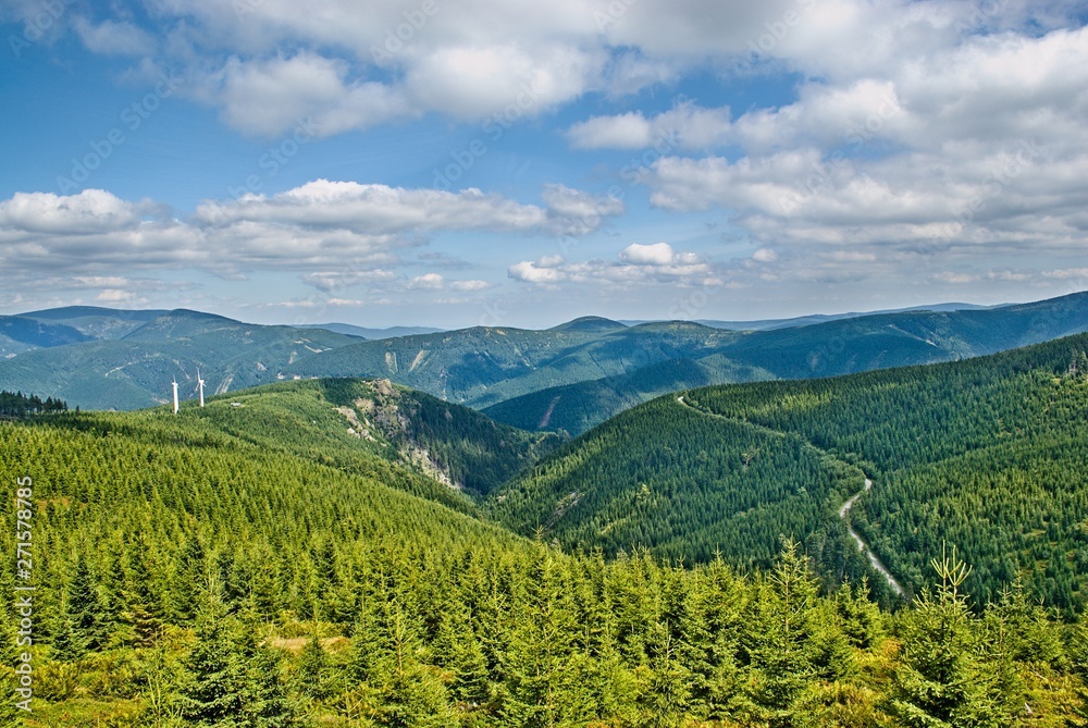 Landscape image from a high vantage point capturing vast conifer forests in different shades of green, with paths visible among the trees and some windmills in the background. Jeseniky mountains, Czec