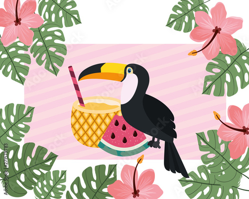 pattern of toucan and summer flower