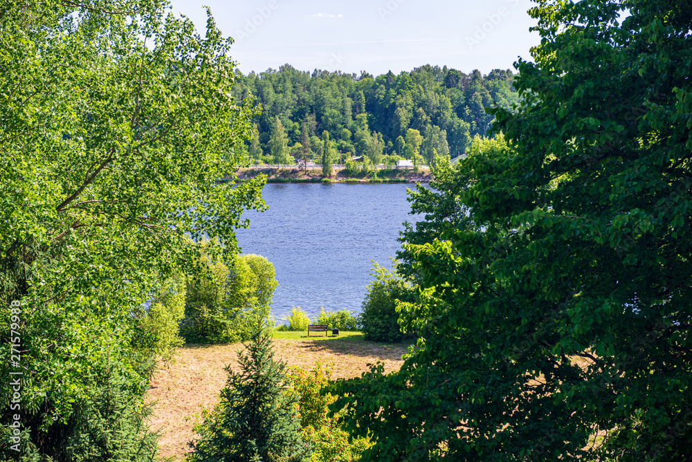 Fototapeta premium beautiful evening by the lake with sun in the trees