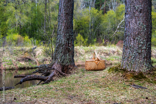 wowen wooden picnic basket in nature trails in summer photo