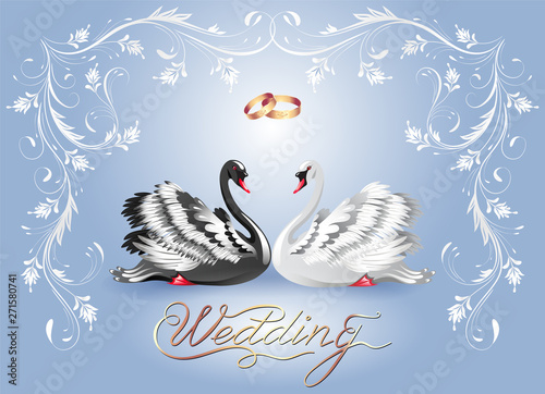 Decorative card with black and white swans and luxurious ornament and golden rings for invitations or congratulations with wedding or engagement