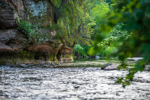 Fototapeta Naklejka Na Ścianę i Meble -  beautiful forest river in latvia in summer