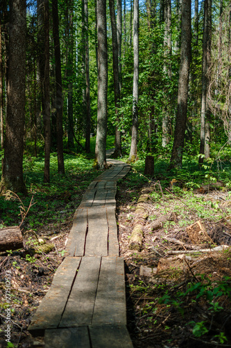 beautiful wooden plank pathway walkway in green pasture