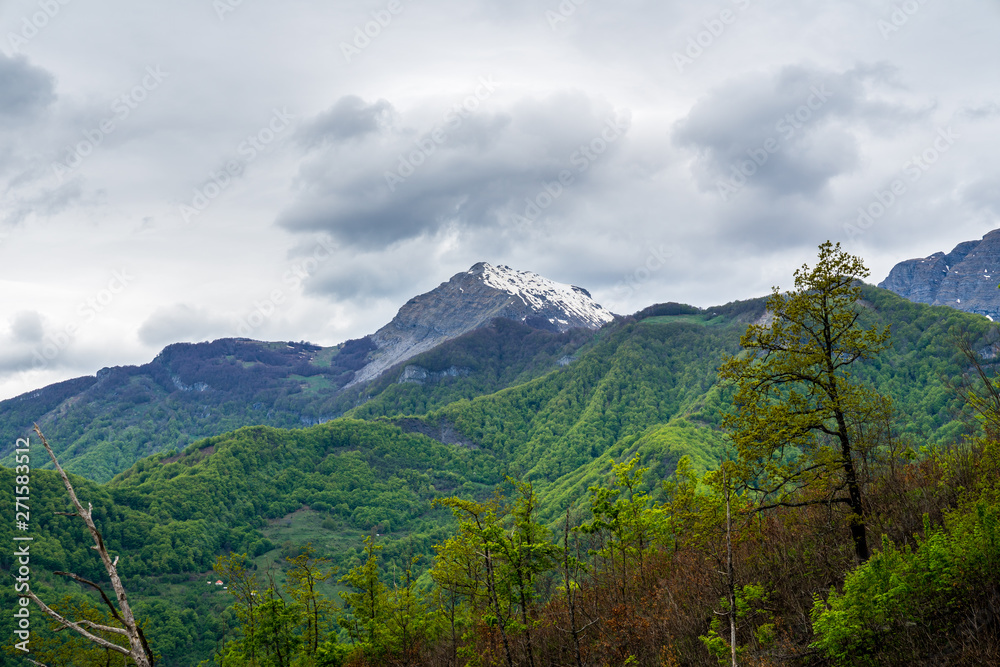 Montenegro, White snow covered hilltops of high mountains next to green tree and forest covered mountain in nature landscape of kolasin