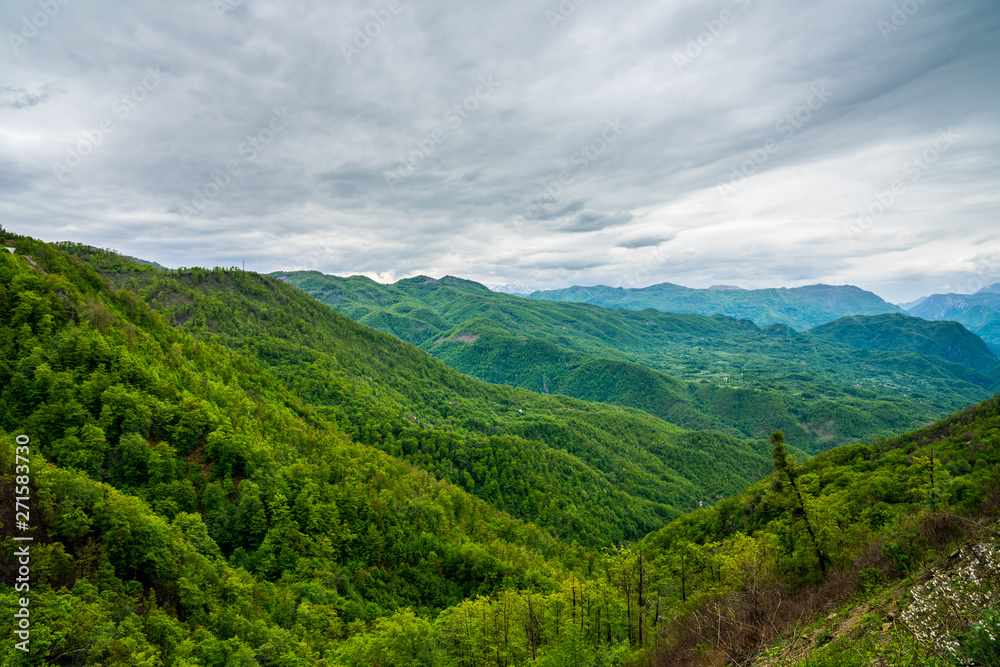 Montenegro, Beautiful green unspoiled tree covered mountain landscape of moraca canyon nature near kolasin from above
