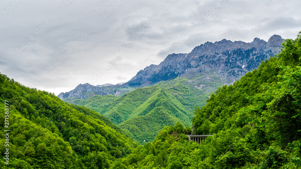 Montenegro, Green endless jungle like forest covering moraca canyon next to impressive high mountains of mountain massif coveredy by snow