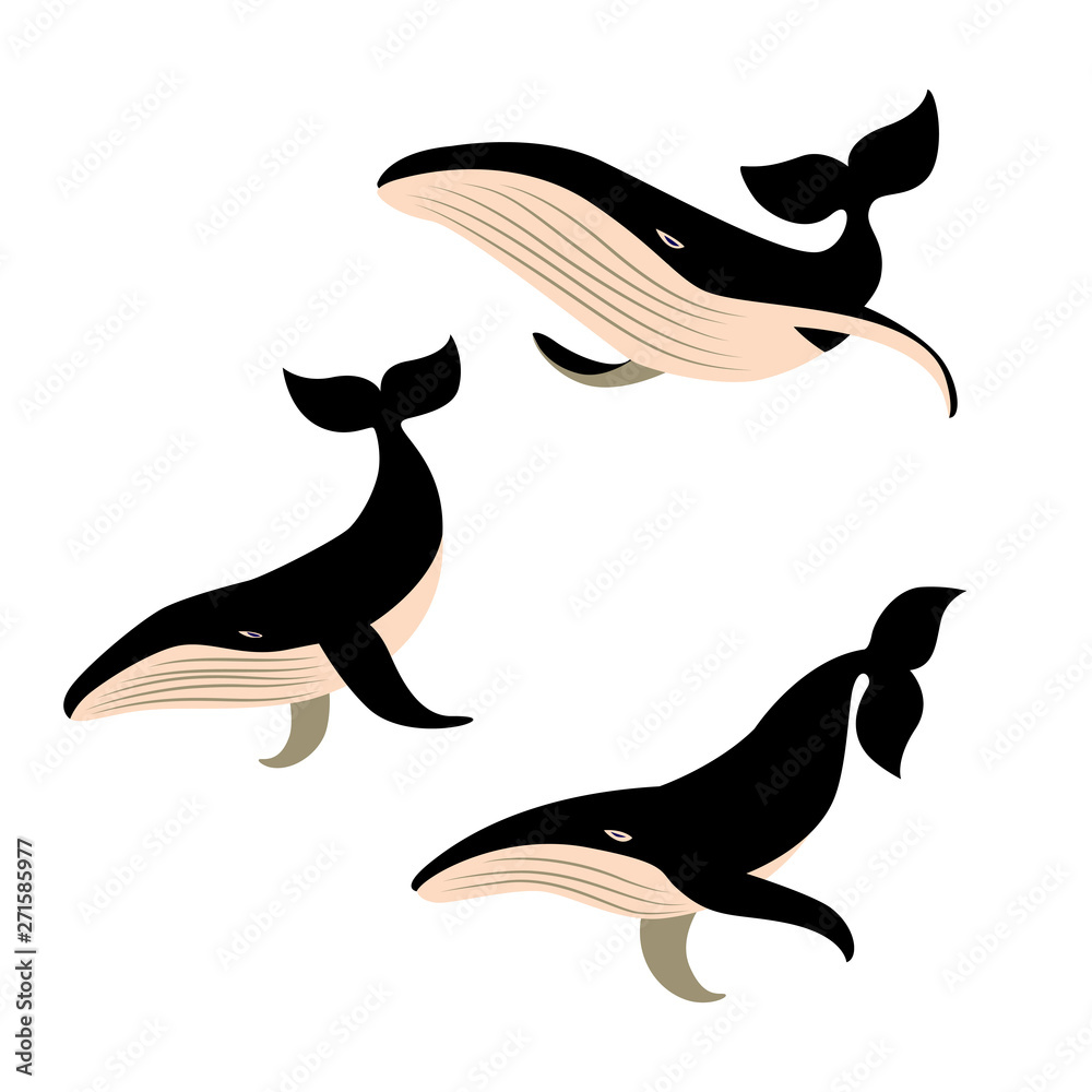 Fototapeta premium Set of vector whales .