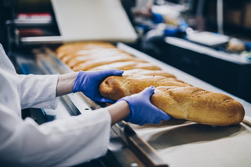 Baker woman working at bread production line.