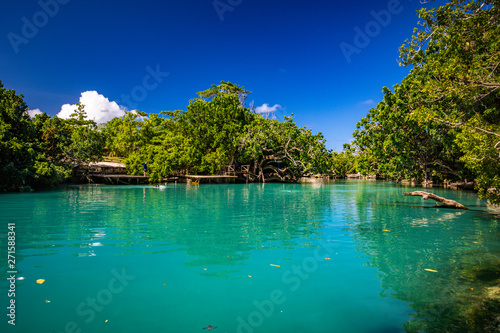 The Blue Lagoon  Port Vila  Efate  Vanuatu