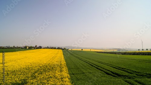 Paysage allemand printanier