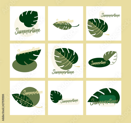 Flat design vector set of logos with exotic leaves. Closeup. The beautiful leaves of Monstera and fern - summer time botany style.