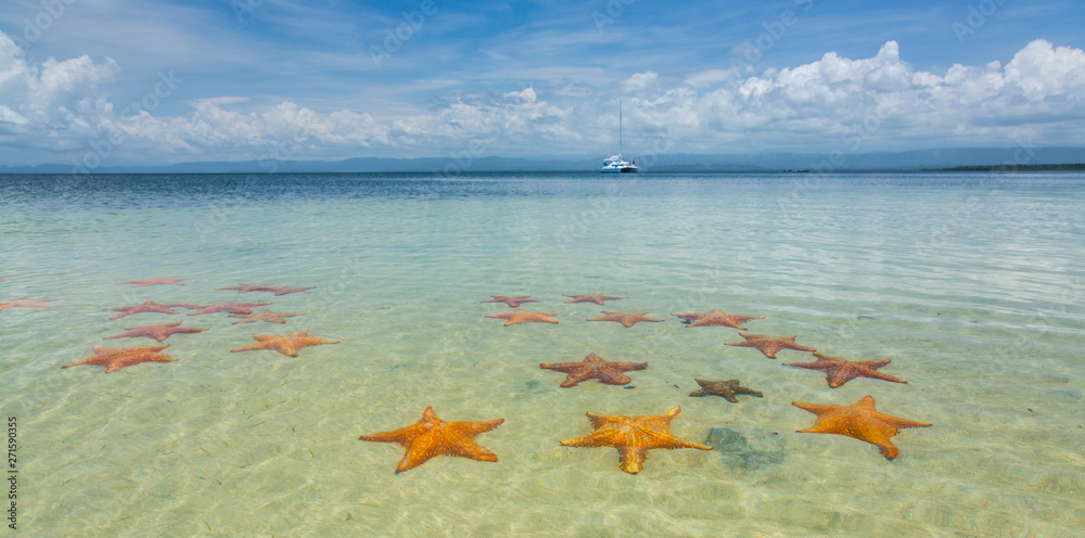 Starfish Beach, Colon Island, Bocas del Toro Archipelago, Bocas del Toro  Province, Panama, Central America, America foto de Stock | Adobe Stock