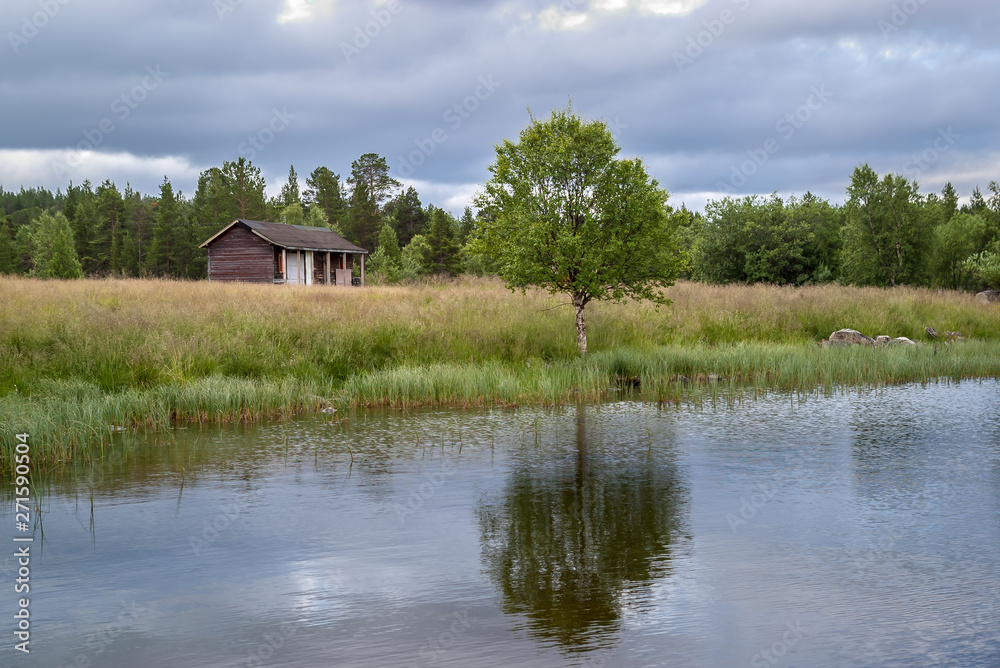 Scenic view of Lapland summer lake. Small wooden house on the lake shore in Finland. Lonely green tree(Betula nana) reflected in the water. Scenic view of Lapland summer lake. Small wooden house on the lake shore in Finland. Lonely green tree(Betula nana) reflected in the water.