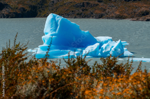 Iceberg floats on the lake with yellow grass on the foreground. Lake of Grey in Torres del Paine National Park, Chile