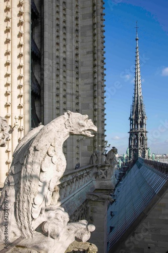Gargouille et Flèche Notre-Dame