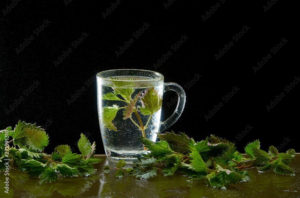 Tea teapot from medicinal nettle with nettle leaves and water dust Tea teapot from medicinal nettle with nettle leaves and water dust