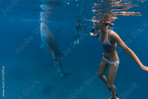Obraz na plátně Young woman snorkeling with the Whale shark (Rhincodon typus) in the tropical sea