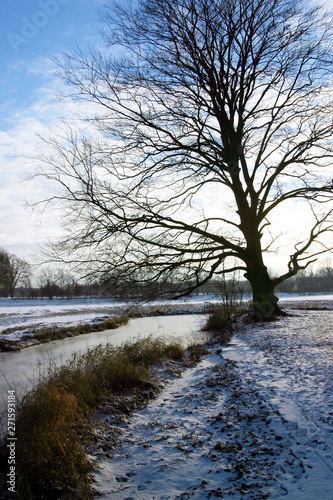 Winter. Snow. Frozen. River Reest De Wijk Drente Netherlands © A