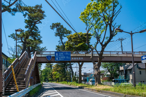 国道1号線 東海道松並木