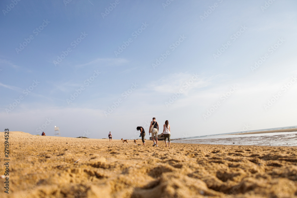 Group of friend chilling on the seaside. French atlantic coast. Sand dunes and blue sky over it. 