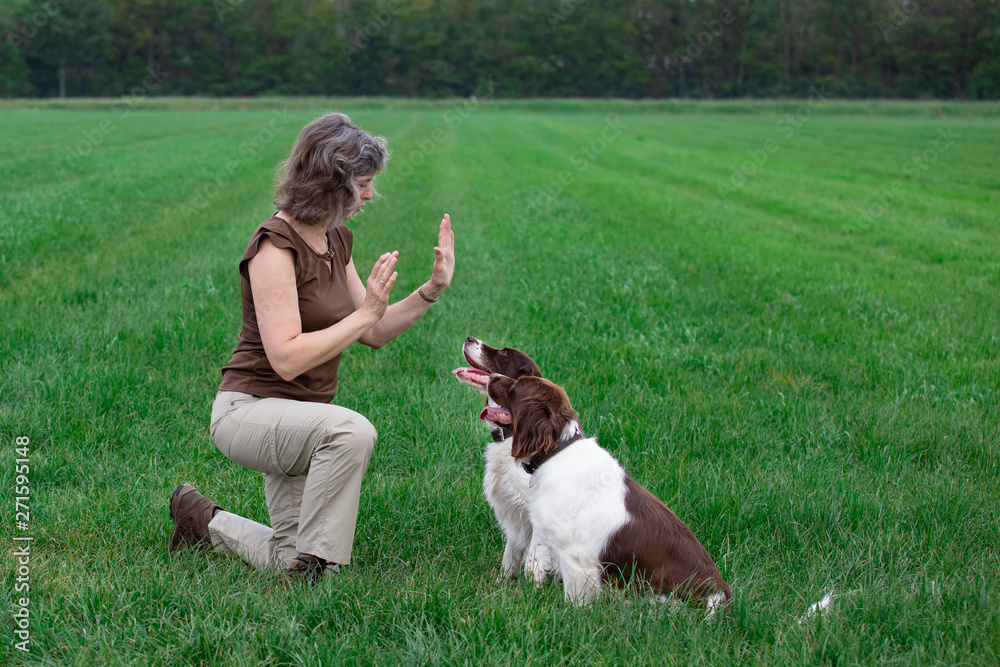 a woman is training her dogs. the dogs remain seated until command