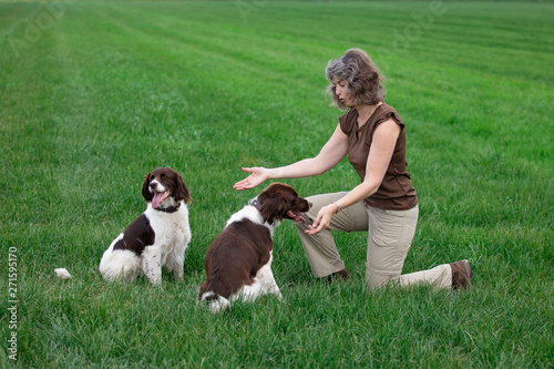 a woman is playing with her two relaxed dogs, the dogs are happy