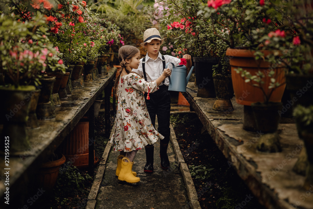 Adorable Children Watering Plants in Greenhouse. Beautiful Kids Wearing Trendy Outfit and Rubber Boots. Family Taking Care of Flowers using Pot in Garden. Brother and Sister Friendship Adorable Children Watering Plants in Greenhouse. Beautiful Kids Wearing Trendy Outfit and Rubber Boots. Family Taking Care of Flowers using Pot in Garden. Brother and Sister Friendship