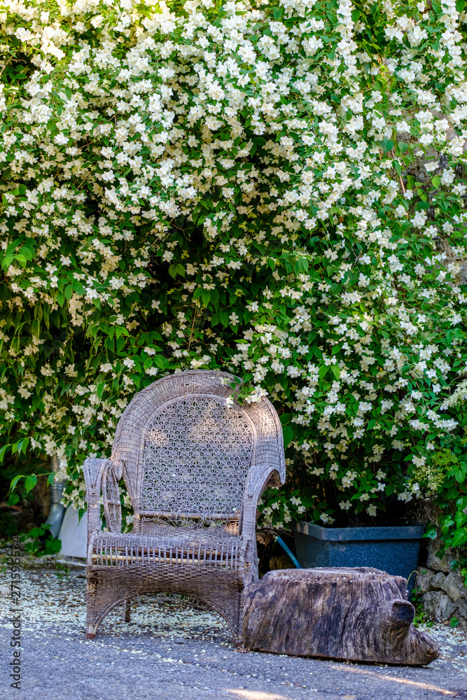 Rue du village de Provence, ancien chaise en rotin sous arbuste en fleurs blanches de Philadelphus (seringats). Esparron de Verdon.
