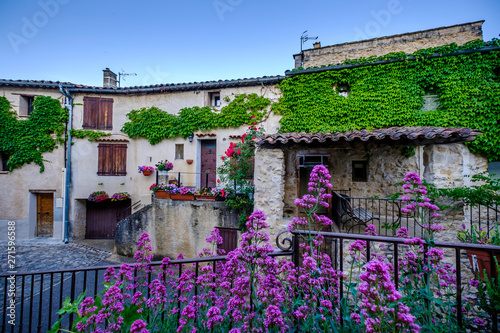 Obraz na płótnie Rue de village Esparron de Verdon au printemps, fleurs de rose et valériane rouge. Provence, France. w salonie